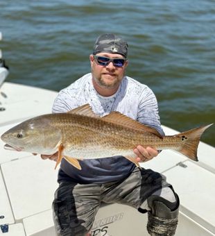 Stunning Redfish - New Smyrna, FL.