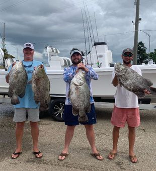 Best Gulf Shores fishing charters adventure!
