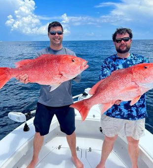 Massive Red Snapper haul!
