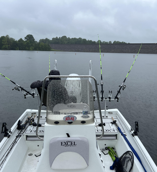 Reeling in the best fishing adventure at 8637 KY-259 #7 with a variety of techniques.