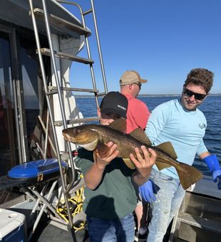 Atlantic Cod Reeled In! Canada