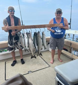 Cast, wait, catch, repeat.