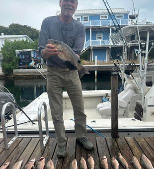 Limit catching at Lake Ontario,