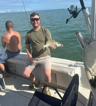 Solid mangrove snapper catch