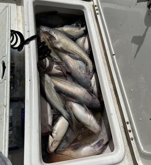 Casting lines in Texas waters!