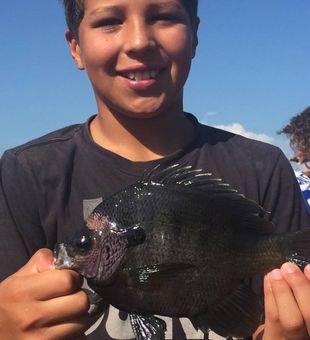 Kid-Friendly Michigan Fishing