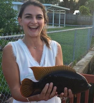 Shore fishing Detroit River	
