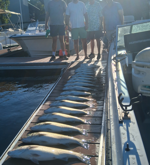 Mastering the art of light tackle trolling on a picture-perfect day at Lake Murray!