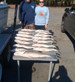 Great day trolling light tackle at Lake Murray - striped bass were biting all day in these clear conditions!