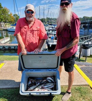 Catfishing made easy with Captain Junior.