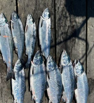 Explore Sooke's rich fishing grounds! Book Now!