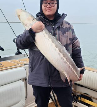 Explore Sturgeon Waters Here