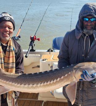 Sunny day, proud White Sturgeon catch!