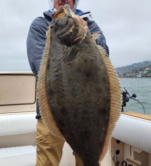 Big flatfish, big fight—halibut time.