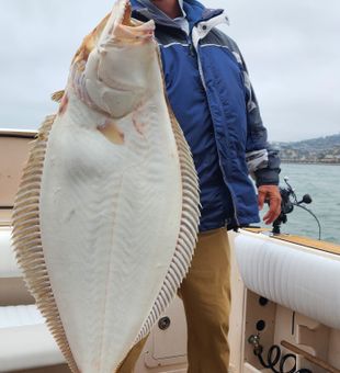 Nothing beats the thrill of hauling up a halibut.