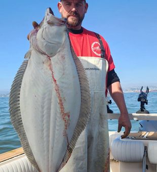 Massive California flounder from Richmond CA waters!