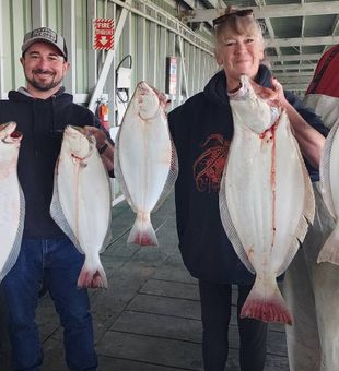 Richmond CA delivers big California flounder!