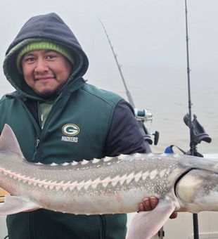Foggy day, fierce White Sturgeon!