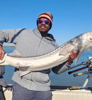 Bright day, powerful White Sturgeon!
