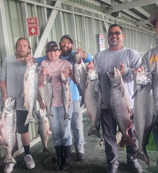 Impressive salmon fishing haul.
