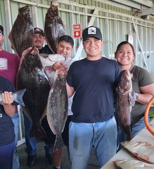 California Flounder and Lingcod success in Richmond CA!