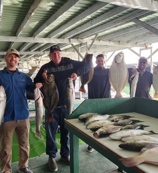 Reeling in the Bay Area’s best catches in San Francisco