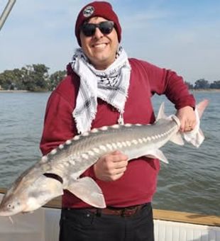 Sturgeon catch of the day during a guided fishing trip in San Francisco, CA.
