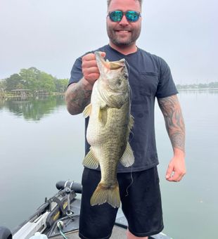 Johns Lake Some beautiful, healthy bass!