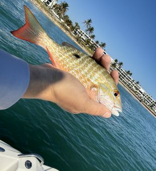 Fishing in Jensen Beach, FL delivers beautiful coastal views and action-packed days on the water.