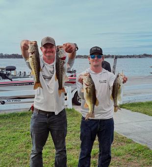 Stacked stringers of chunky Largemouth Bass!