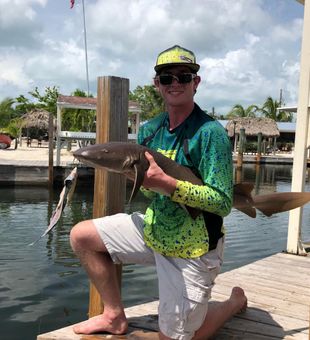 Nice catch with a nurse shark on the dock!