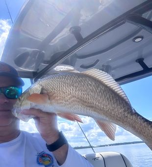 Beautiful Biloxi redfish caught on the water!