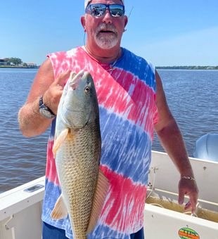 Biloxi redfish fishing: reel in the fun