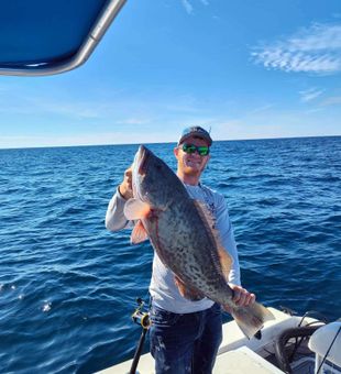 Chunky gag grouper catch