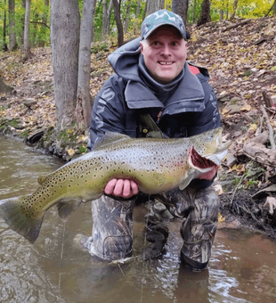 brown trout fishing may 4 2024