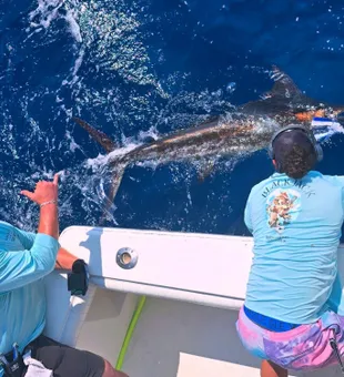 Charleston charters: where every cast is an adventure.
