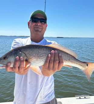 Embark on Redfish Glory with Crystal River Fishing