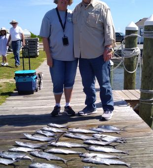 Bountiful Ocean Harvest.
