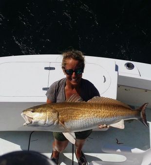 Red drum bounty in NC!