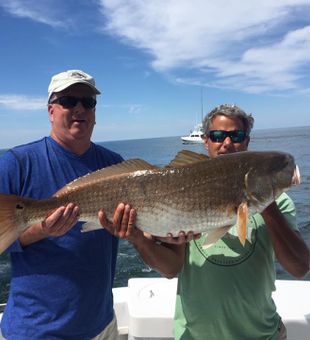 Reeled in red drum in Nags Head City, NC
