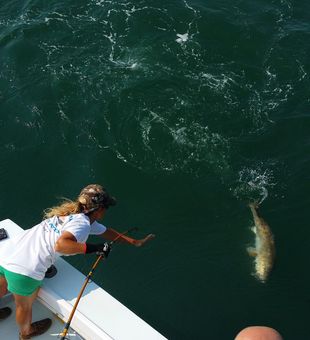 Red drum in action.