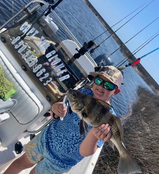 Nice black drum from Tallahassee waters!