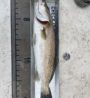 Marty and Zane all smiles