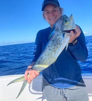 Shining mahi mahi catch in bright sunlight!