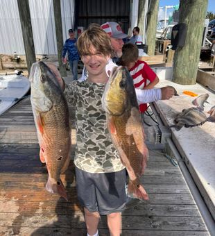 Wild Redfish catch - Shell Beach, LA.