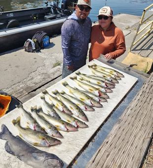 Explore the incredible fishing opportunities in Tri-Cities, Washington, where bass, walleye, sturgeon, and salmon create year-round action.