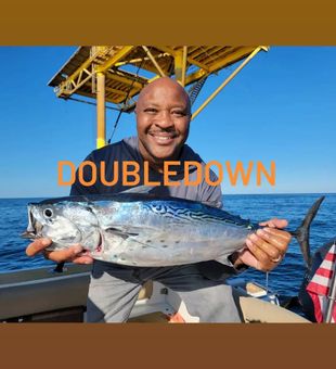 Bonita Tuna, off St Simon's Island GA!