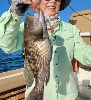 Inshore fishing 2023! Fishing Charters St Simons