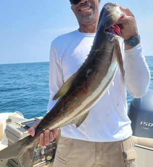 Cobia fishing! St Simon Island fishing charters!