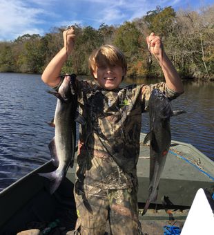 Blue Catfish reeled in - St. Marks, FL.